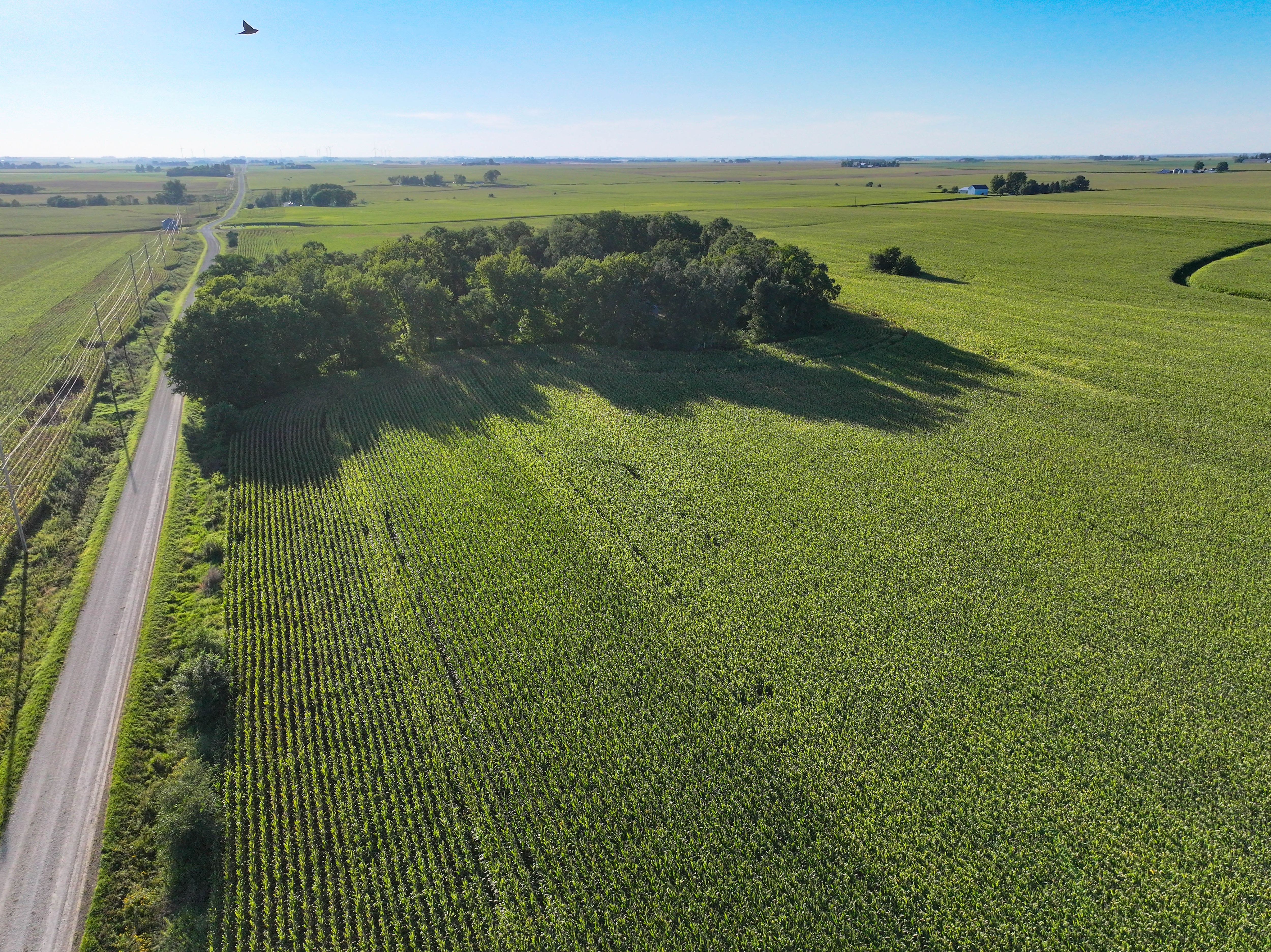 Listing Photo: 29-NE Iowa Land Auction